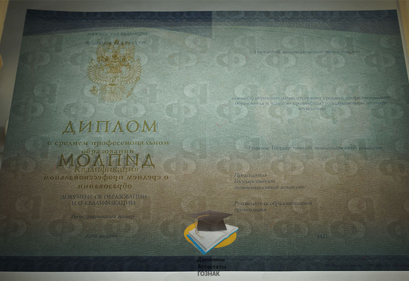 Диплом колледжа 2014-2025 годов - Фото 10 Диплом колледжа 2014-2025 годов - Фото 10